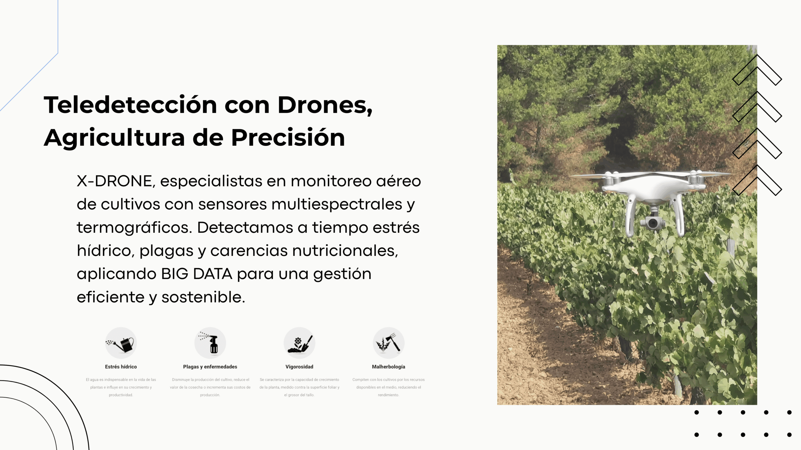 Teledetección con Drones para Agricultura de Precisión